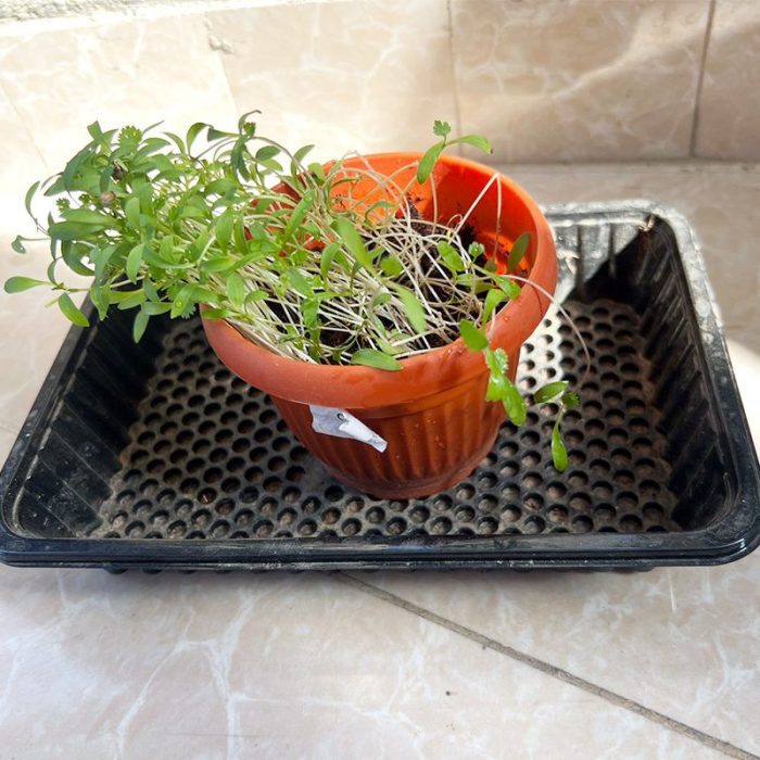 ⁦مجموعة الزراعة المنزلية  GARDENING KIT⁩ - الصورة ⁦8⁩