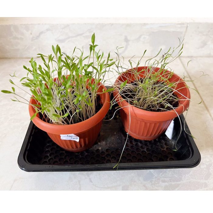 ⁦مجموعة الزراعة المنزلية  GARDENING KIT⁩ - الصورة ⁦9⁩