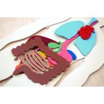 ⁦صندوق اجزاء جسم الانسان⁩ - الصورة ⁦5⁩