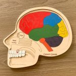 ⁦بازل الجمجمة عربي كيدي وود⁩ - الصورة ⁦4⁩
